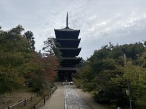 仁和寺の五重塔
