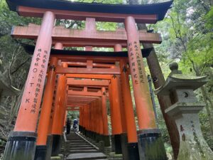 山頂への鳥居の道