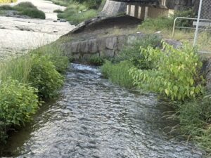 みそそぎ川が鴨川に合流するところ