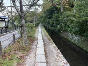 疏水沿いの細い道
