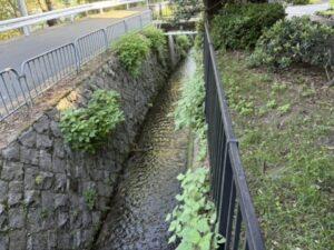 北白川の疏水