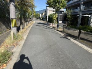 植物園の南側の道