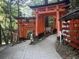 眼力大神の先のY字路