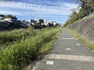 七条大橋のすぐ北、鴨川東岸の河川敷の道