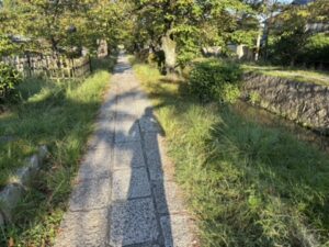 疏水の横の遊歩道