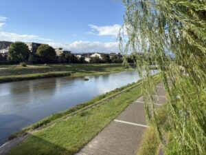 丸太町橋から見た鴨川