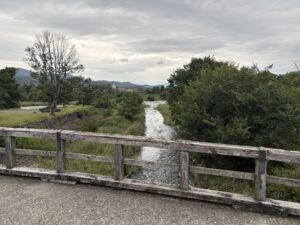 中ノ島橋から見た南向きの風景