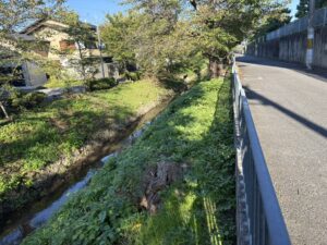 松ヶ崎の先の疏水