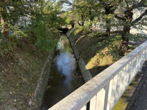 北園橋から見た疏水