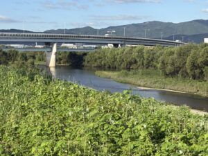 鴨川と桂川の合流の風景