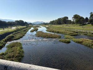 北大路橋から見た鴨川
