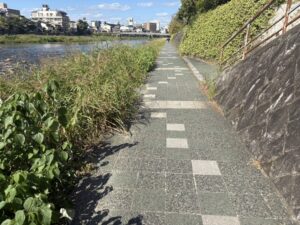 七条大橋の先の鴨川東岸の道