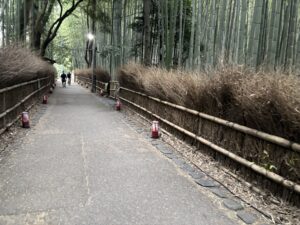 竹林の小径