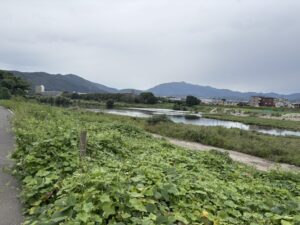 上野橋の先の桂川