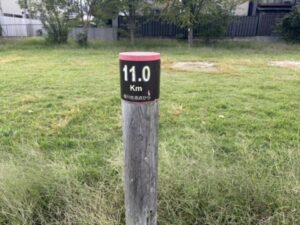 桂川合流点から11.0kmのポール(西岸)