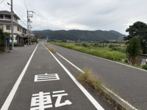 一般道と並ぶ自転車道