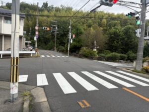 信号のある交差点(ここは直進)