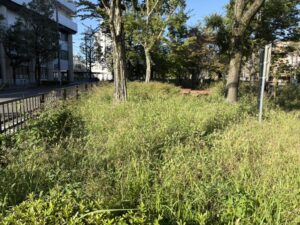 紫明通の中央分離帯の公園