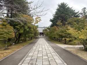 仁和寺の参道