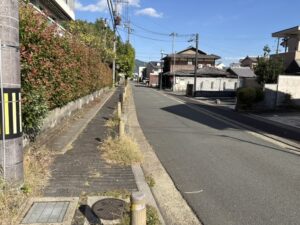 植物園の南側の道