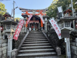 白菊大神