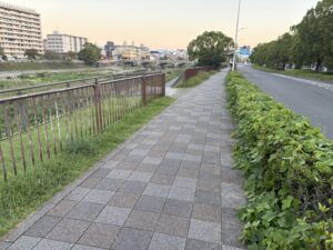 鴨川の河川敷に降りる階段