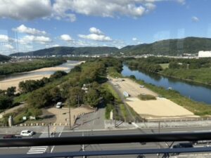 展望塔から見た背割堤と川