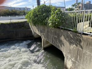 鴨川運河(琵琶湖疏水)のトンネルの出口