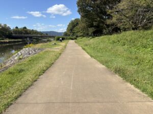 賀茂川東岸の道