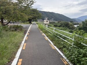 桂川西岸の自転車道