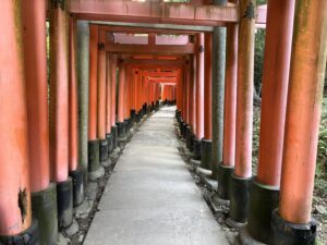 稲荷山の朱色の鳥居のトンネル
