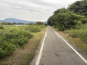 桂川東岸の自転車道