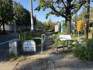 紫明通の中央分離帯のせせらぎ