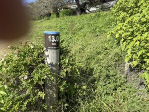 桂川合流点から13.0kmのポール