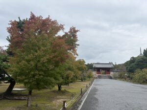 仁和寺の中門