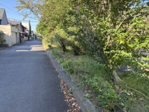 緑地が続く道