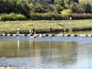 鴨川の飛び石