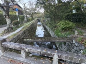 大豊橋から見た疏水