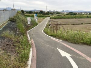 桂川西岸の自転車道