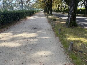 イチョウ並木の横の砂道